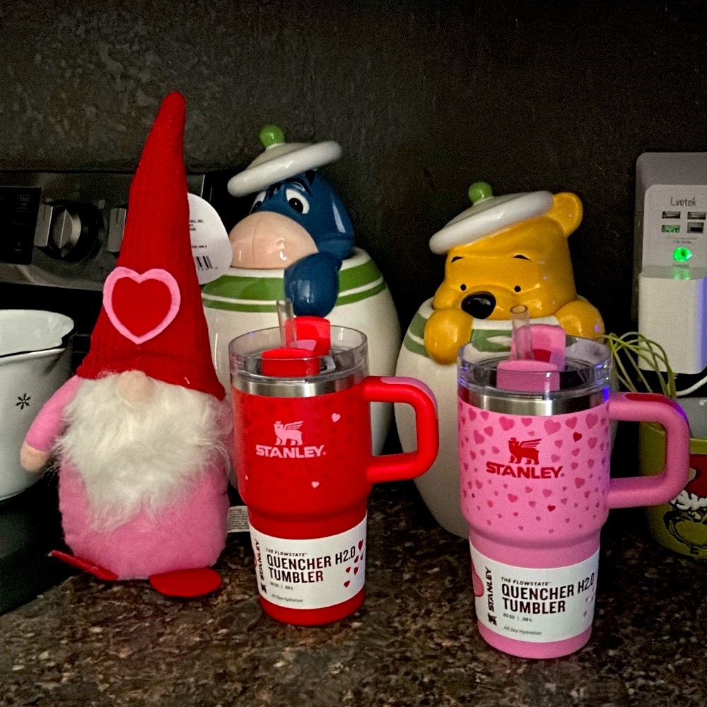 Stanley Valentines limited Edition 20 oz pink & red cup/tumbler bundle brand new